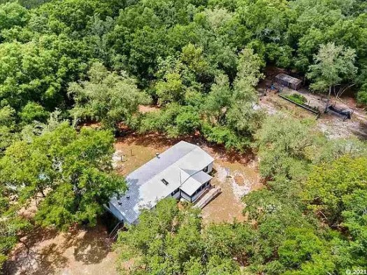 ROVER DOG BOARDING&nbsp;🐾