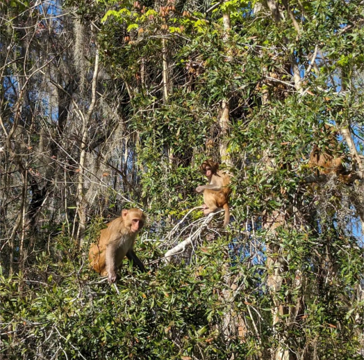 SPRINGS FLOAT FUNDRAISER&nbsp;💦